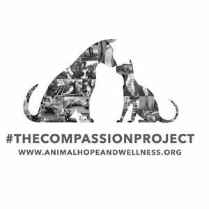 Meet your Posher, Jodi